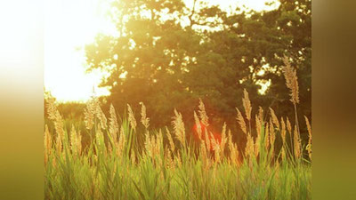 'Bugun O`zbekistonda kuzatiladigan ob-havo ma`lumoti ma`lum qilindi'ning rasmi