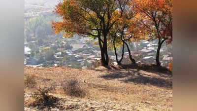 'Bugun kunduz kuni O`zbekistonda yog`ingarchilik kutilmaydi, faqat...'ning rasmi