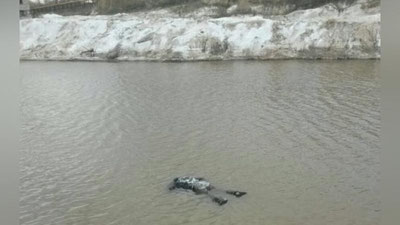 'Namangandagi kanaldan 5-sinf qizning jasadi topildi. Uni suvga  kelinoyisi itarib yuborgan'ning rasmi