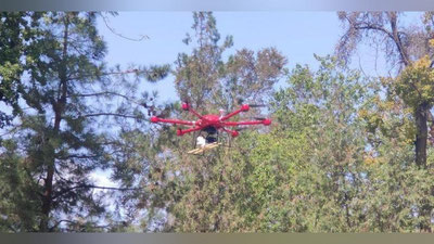 Изрображение 'В столичном парке имени Бабура с помощью дрона спасают зараженные деревья (фото)'