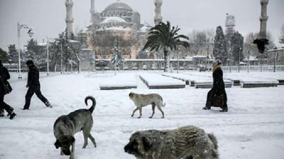'Туркияда кучли қор ёғиши оқибатида мактаблар ёпилди, юзлаб рейслар кечиктирилди'ning rasmi