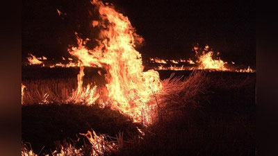 Изрображение 'Возгорание рисовых полей под Нукусом попало на видео'