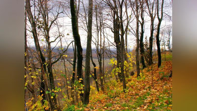 'Ertaga O`zbekistonda kuzatiladigan ob-havo haqida ma`lumot berildi'ning rasmi