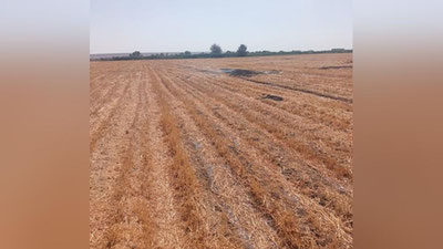 'Ohangaronda ekoinspektor kaltaklanishi ortidan jinoyat ishi qo`zg`atildi'ning rasmi