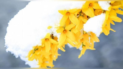 'Dam olish kunlari yurtimizda qanday ob-havo kutilmoqda?'ning rasmi