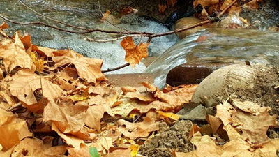 'Dam olish kunlari sovuq havo chekina boshlaydi'ning rasmi