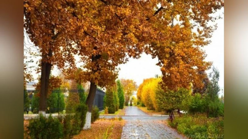 'Эртага Ўзбекистонда ҳаво ўзгариб туради'ning rasmi