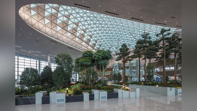 '«Toshkent-Incheon» aviareyslari orqali Koreyaga kirish haqidagi xabarlarga oydinlik kiritildi'ning rasmi