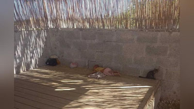 'Бухорода 60 даража иссиқда буғдойзор шийпонига 9 ойлик бола ташлаб кетилди. ИИБ расмий маълумот берди'ning rasmi