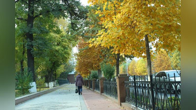 'Kuzni "Darakchi" bilan his qiling'ning rasmi