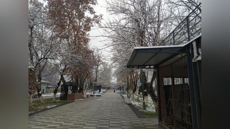 Изрображение 'В Ташкенте днем потеплеет до +10'