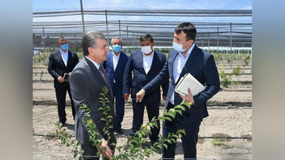 Изрображение 'Президент осмотрел фермерское поле в Ферганской области (фото, видео)'