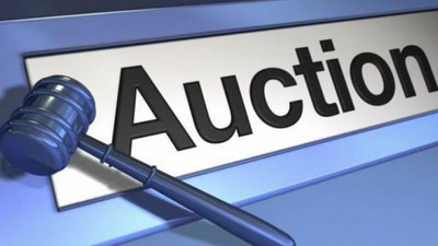 'O`zbekistonda elektron onlayn-auksionlar tartib-taomillarining yagona tartibi joriy etiladi'ning rasmi