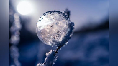 '10 fevral kuni O`zbekistonda qanday ob-havo kuzatiladi?'ning rasmi