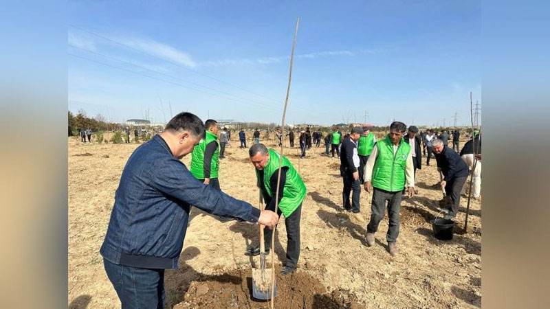 'Qashqadaryoda "Xalq qabulxonasi bog`i" bunyod etildi'ning rasmi