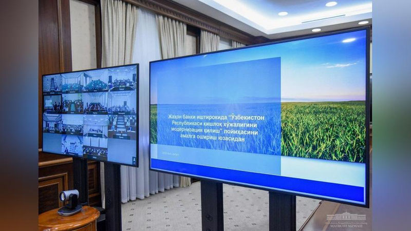 Изрображение 'На какие проекты в сельском хозяйстве направят $500 млн от Всемирного банка?'