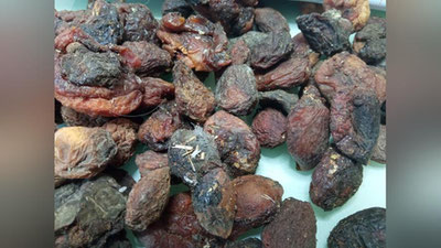 Изрображение 'Россельхознадзор вводит запрет на ввоз всей растительной продукции из Ферганы'