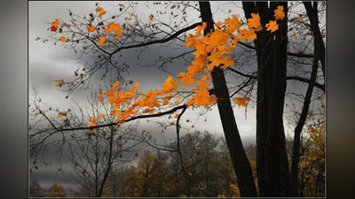 Изрображение 'ПОГОДА ИЗМЕНИТСЯ: ПРОГНОЗ СИНОПТИКОВ НА 16 НОЯБРЯ'