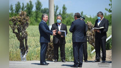 Изрображение 'Президент посетил фермерское хозяйство в Андижанской области (фото)'