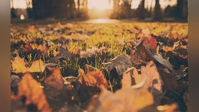 'Oʻzbekistonda dam olish kunlari havo sezilarli darajada salqinlashi kutilmoqda'ning rasmi