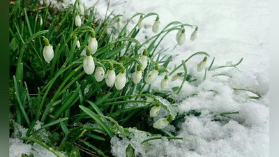 'Qishning so`nggi kunlarida ham ayoz hukumronligini davom ettiradimi?'ning rasmi