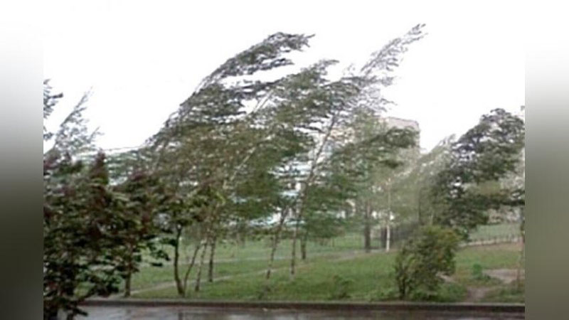 'Bugun O`zbekistonning ayrim hududlarida kuchli shamol bo`lishi kutilmoqda'ning rasmi