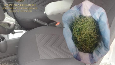 'Farg`onada “Spark” salonidan “marixuana” topildi'ning rasmi