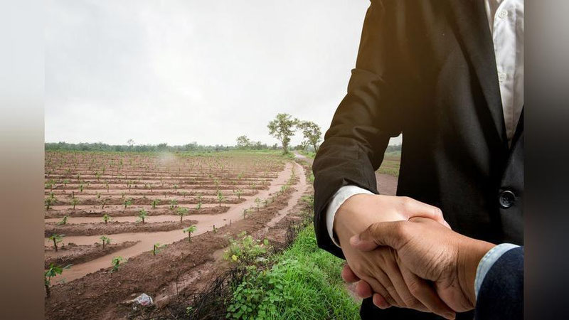 'Деновда ўрмон хўжалигига тегишли бўлган ерни пулламоқчи бўлган шахс ушланди'ning rasmi