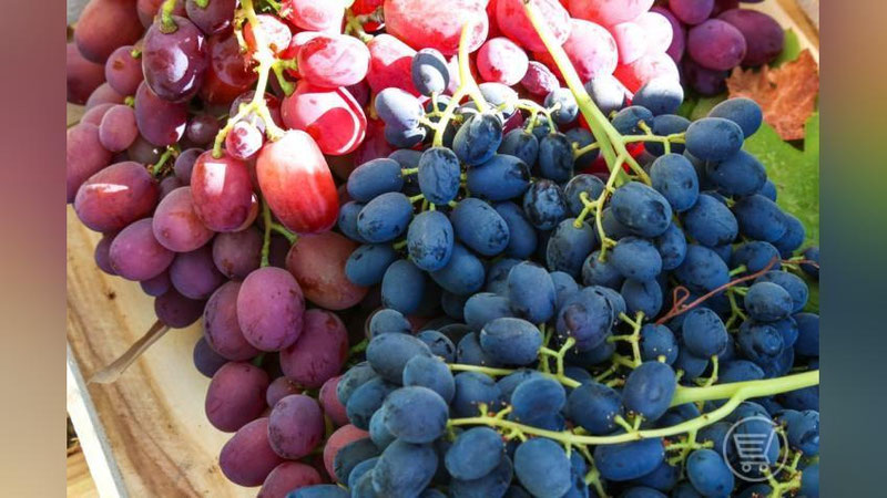 'Узум нархлари йил бошидан буён ўртача 25 фоизга арзонлашган'ning rasmi