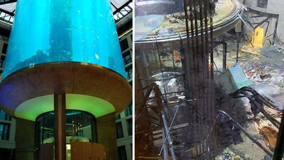 Изрображение 'В Берлине лопнул 16-метровый аквариум, все 1500 рыб погибли (видео)'