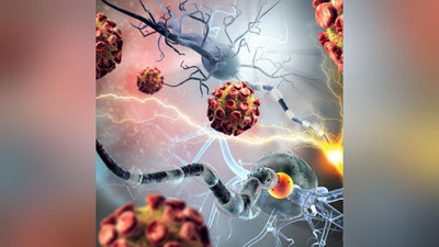 'Олимлар антитаначаларнинг хавфли жиҳатини аниқлади   'ning rasmi