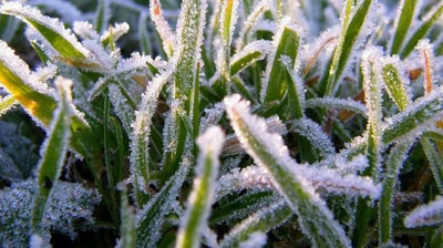 'Тоғли ҳудудларда ҳаво ҳарорати кескин пасаяди'ning rasmi