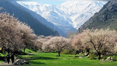 'Янги ой Ўзбекистонда қандай об-ҳаво билан бошланади?'ning rasmi