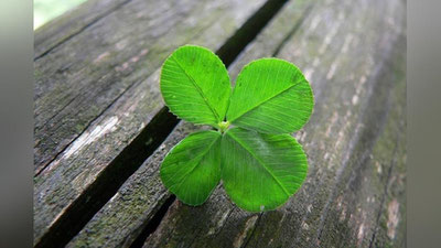 Изрображение 'СЧАСТЛИВЧИКИ ИЛИ ЖЕРТВЫ?'