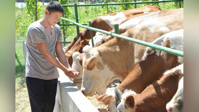 'Chorvadorlarga sotgan go`sht, sut mahsulotlariga qarab subsidiyalar beriladi'ning rasmi