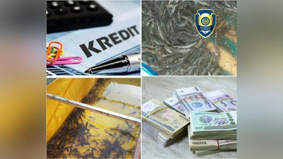 'Samarqand va Toshkent viloyatlarida imtiyozli kredit mablag`lari o`zlashtirildi'ning rasmi