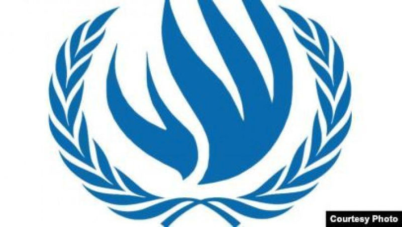 '150ga yaqin jamoat tashkiloti BMTning Inson huquqlari bo`yicha kengashi a`zoligiga O`zbekiston nomzodini qo`llab-quvvatladi'ning rasmi