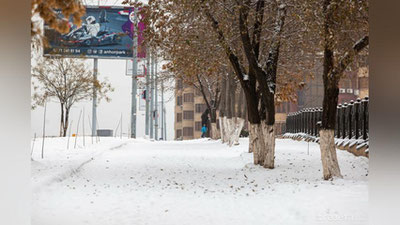 'Ayni kunlarda kuzatilayotgan ob-havo O`zbekiston uchun g`ayrioddiy hodisa — O`zgidromet'ning rasmi