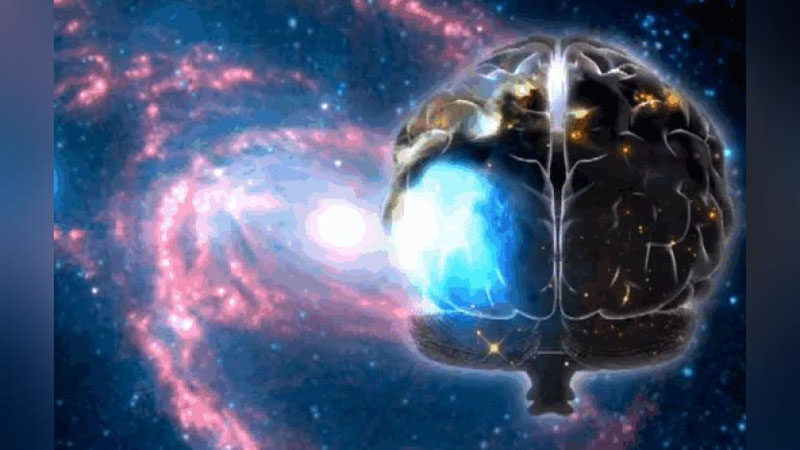 Изрображение 'МОЗГ ИЛИ СЕРДЦЕ? А ЧТО УПРАВЛЯЕТ ТОБОЙ?'