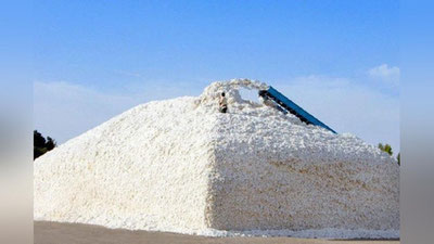 'Samarqandda paxta rejasini oshirib bajargan fermerlarga 10 mln. so`mdan mukofot berilmoqda'ning rasmi