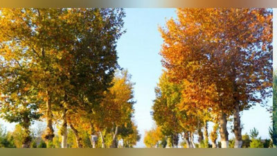 'O`zbekistonda bugun qanday ob-havo kutilayotgani ma`lum qilindi'ning rasmi