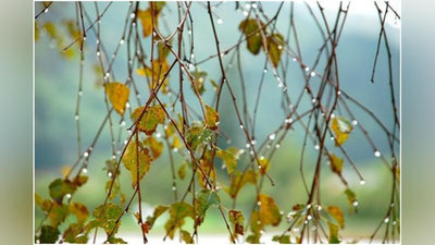 'O`zbekistonda bugun kutilayotgan ob-havo ma`lumoti e`lon qilindi'ning rasmi