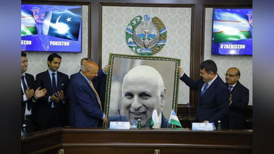 '"Bu rasmlarim ichida eng yaxshisi" - Panjob viloyati hokimi 'ning rasmi