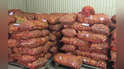 'Andijon tumanida zaxiraga jamg`arilgan kartoshka talon-toroj qilindi'ning rasmi