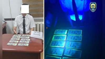 'Toshkentda 1000 AQSh dollari evaziga fuqaroni ishga kiritib qo`ymoqchi bo`lgan shaxs qo`lga tushdi'ning rasmi