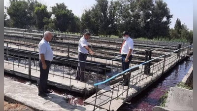 '​​Chirchiq daryosida qizil rangdagi suv oqizilayotgani aniqlandi'ning rasmi