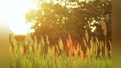 'Bugun yurtimizda qanday ob-havo kuzatiladi?'ning rasmi
