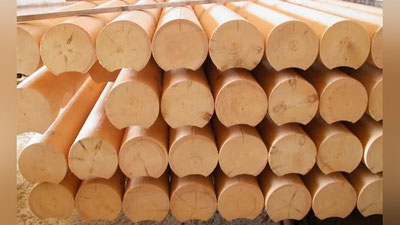 'O`zbekiston 350,1 mln. AQSh dollariga teng bo`lgan yog`och va yog`och mahsulotlarini import qilgan'ning rasmi