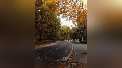 'Bugun ba`zi hududlarda yomg`ir yog`ishi kutilmoqda'ning rasmi