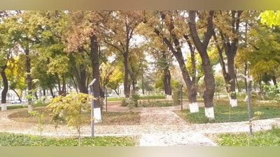 'Bugun O`zbekistonda qanday ob-havo kuzatiladi?'ning rasmi